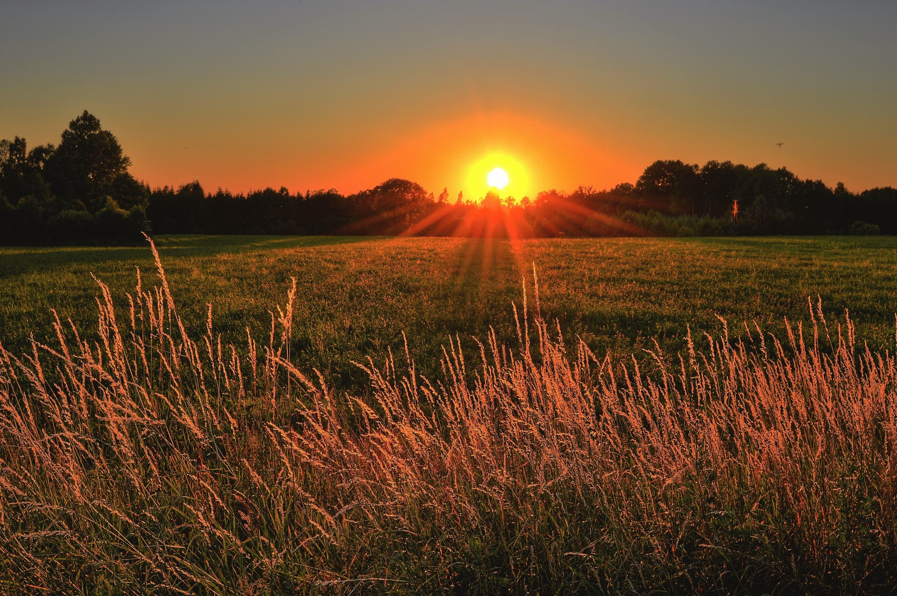 The start of summer is just days away, is your HVAC system ready? If not, you can get your HVAC ready for summer and stay cool on those hot summer days by following these tips.